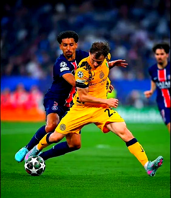 关于巴黎圣日耳曼训练开放日，国际比赛日止住颓势引欢呼，CBA常规赛在即，细节决定成败的信息QS SPORTS